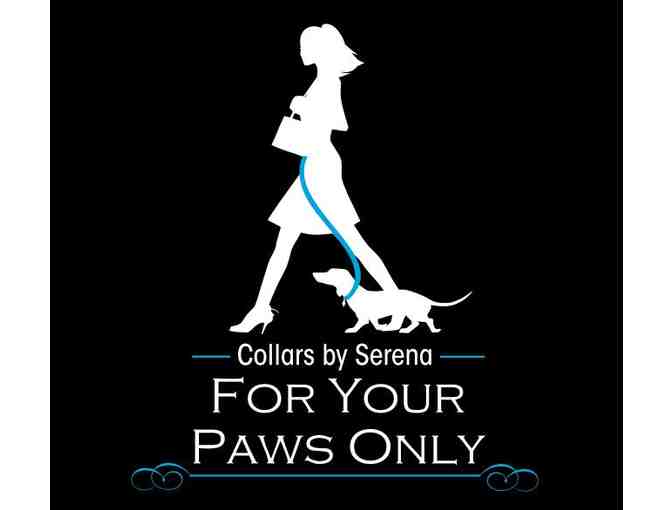 Collar & Leash Set by For Your Paws Only