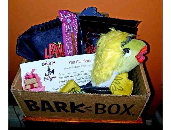 Bark Box & Ooh LaLa Gift Certificate - Photo 1