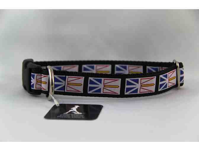 NL Flag Dog Collar donated by the Dog House