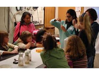 6 Passes to WonderLab Museum