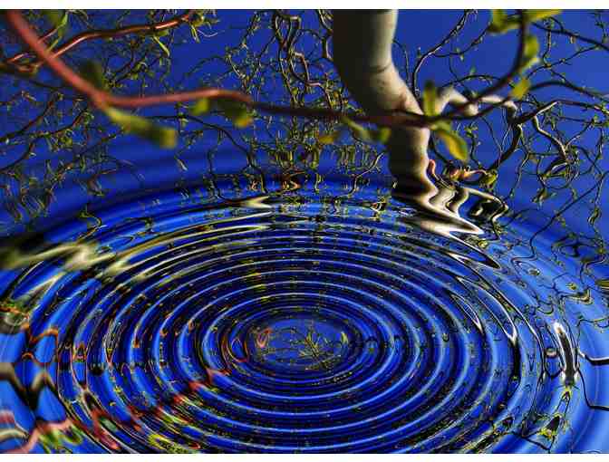 Argonetics Bodywork Session with Dr. Jason Rabineau