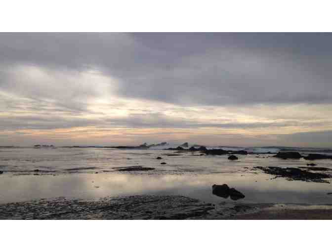 Double Kayak for 1 hour with Half Moon Bay Kayak Co.