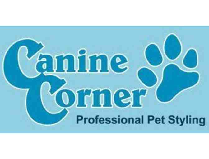 $30 Gift Certificate to Canine Corner - Photo 1