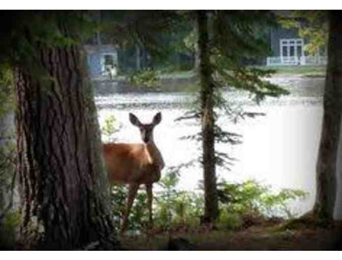 8 Day/ 7 Night Stay at Lake Forest Resort on Eagle River, WI on 10/27/18-11/3/18