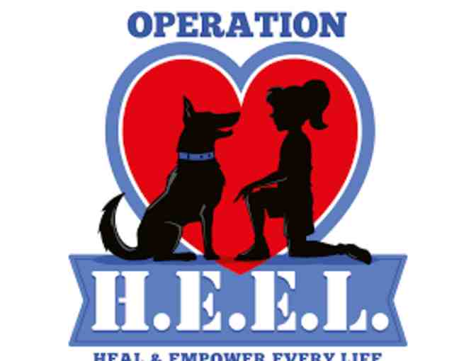 Operation H.E.E.L Animal Assisted Therapy Sessions with Therapy Dog