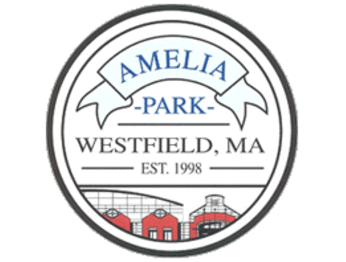 Amelia Park Ice Skating Vouchers #2