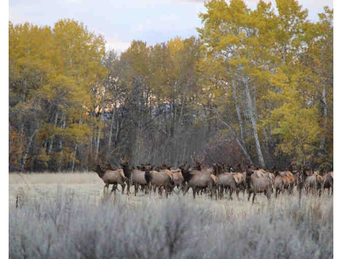 Bar Double T Ranch Summer 2018
