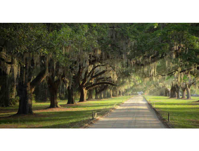 Historic Charleston Vacation