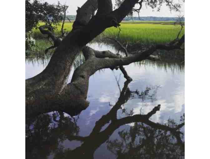 Nature Watch in Charleston County Parks!