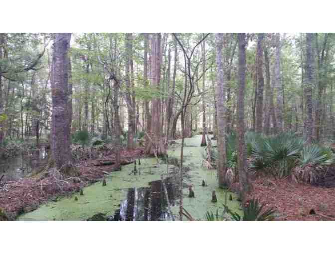 Nature Watch in Charleston County Parks!