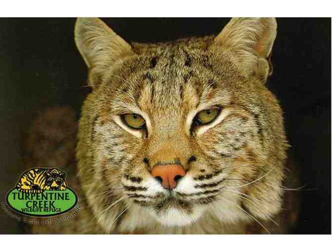 Branson, Missouri Getaway