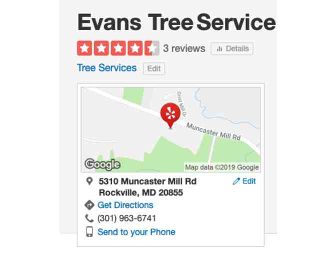 $100 Coupon towards services at Evans Tree Service Services!! - Photo 1