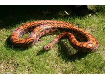 Little Stars Day out