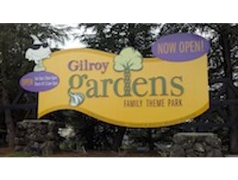 Little Stars Day out