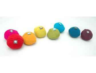 $70 in Gift Certificates from DeMartini Orchard