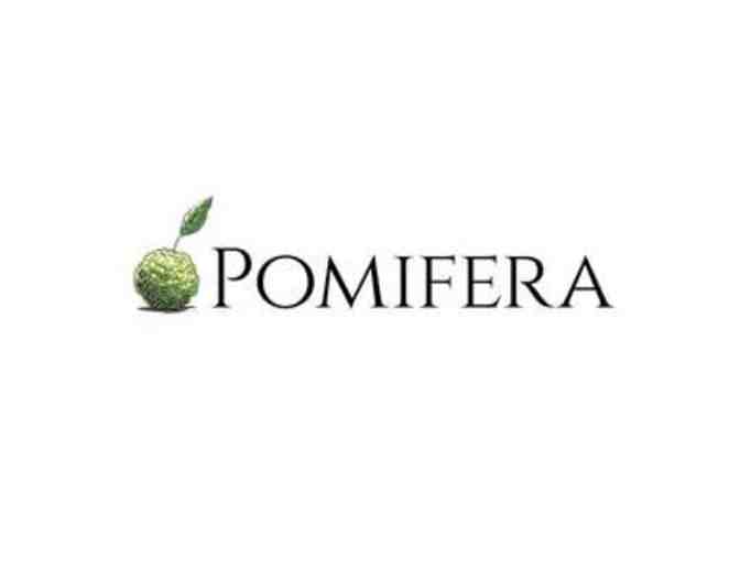 $25 Gift Certificate for Pomifera - Photo 1