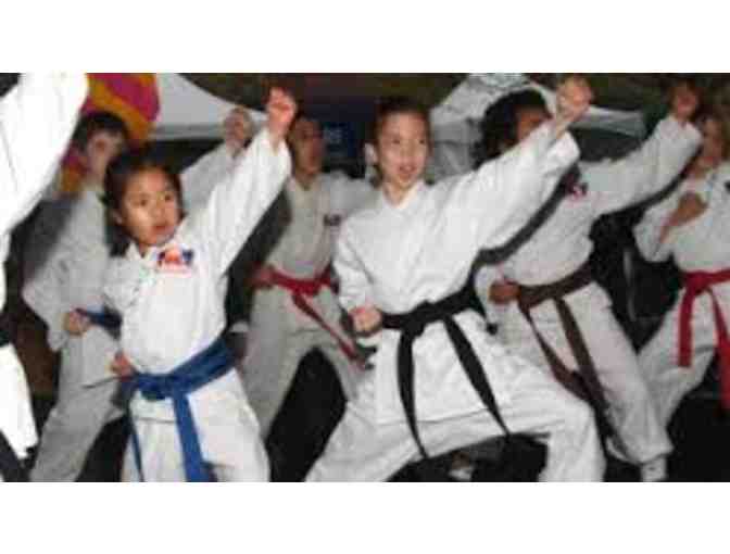 One Martial Arts - Kids Birthday Party