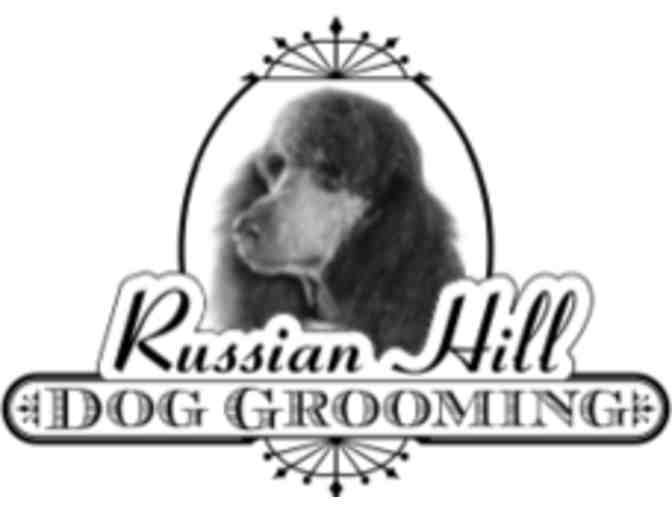 Russian Hill Dog Grooming: $50 Gift Certificate