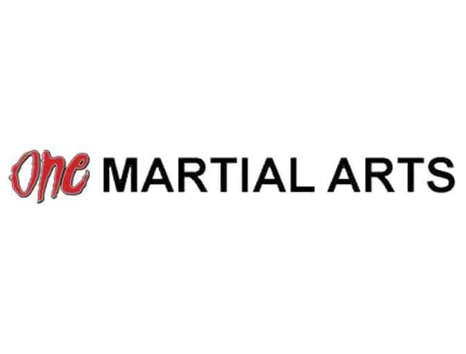 One Martial Arts: Birthday Party