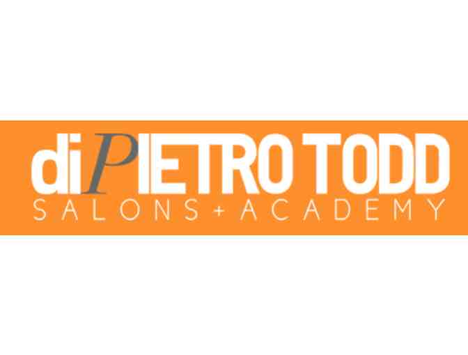 diPietro Todd Salons & Academy: Single Process Color + Haircut