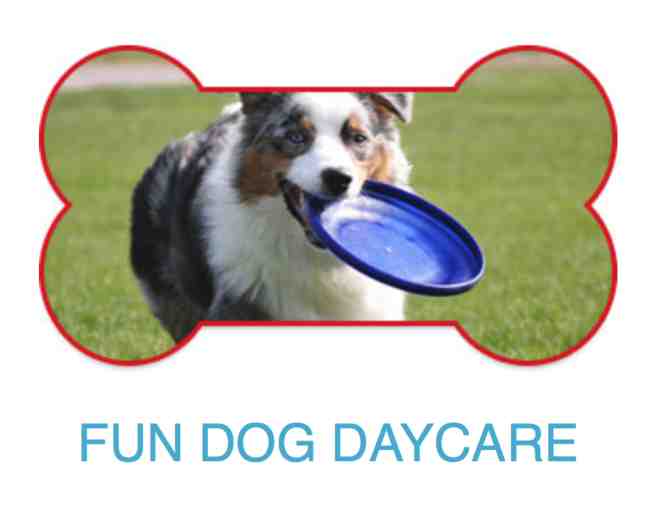 Fog City Dogs: 3 Days Dog Daycare (Either location) OR 2 Nights Dog Boarding (Lodge location)