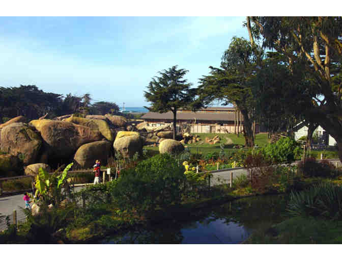 San Francisco Zoo: Two One-Time Admission Passes