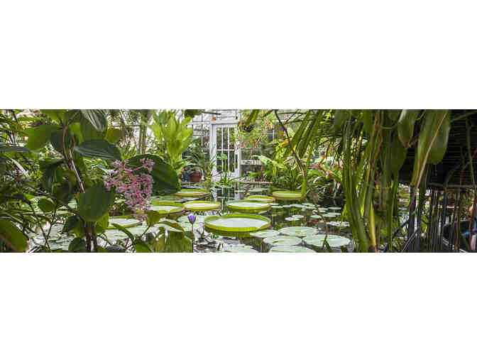 Conservatory of Flowers: One-Year Family Membership