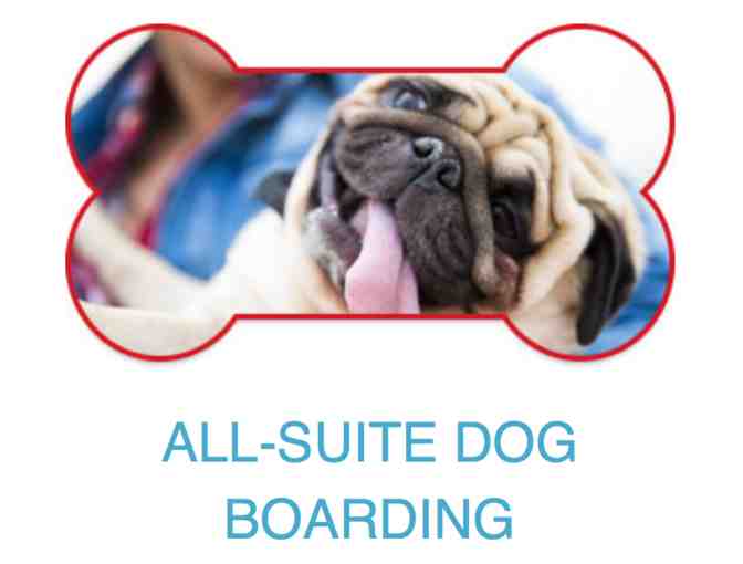 Fog City Dogs: Either 2 Nights of Boarding OR 3 Days of Dog Day Care