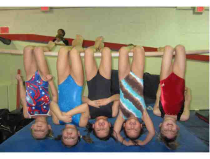 NYC Elite Gymnastics - One Week Summer Camp 2014