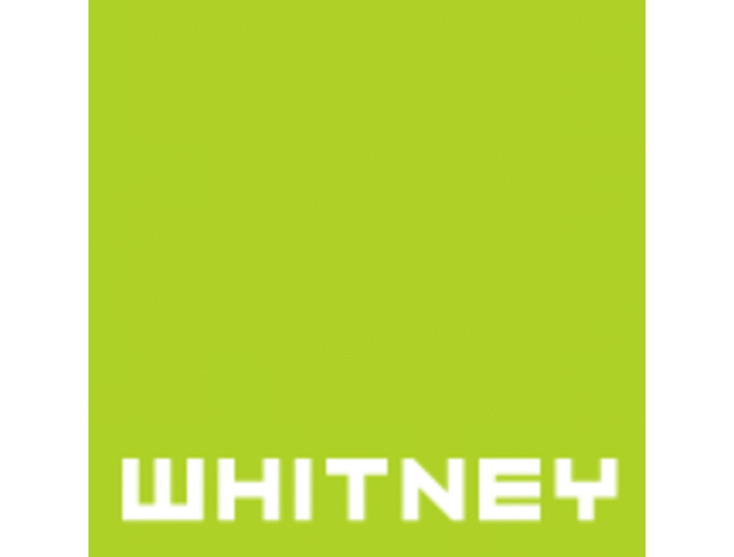Whitney Museum of American Art - Group tour for 5 people