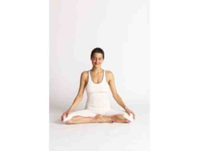 Virayoga - 1 private session with Elena Brower along with her companion book