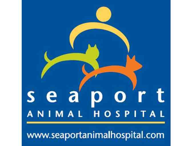 Seaport Animal Hospital - Annual Exam for Your Cat or Dog