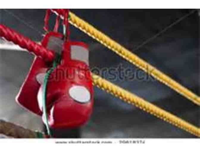 Tribeca Sports Centre - 4 Boxing and Training Classes with Former Golden Glove Finalist