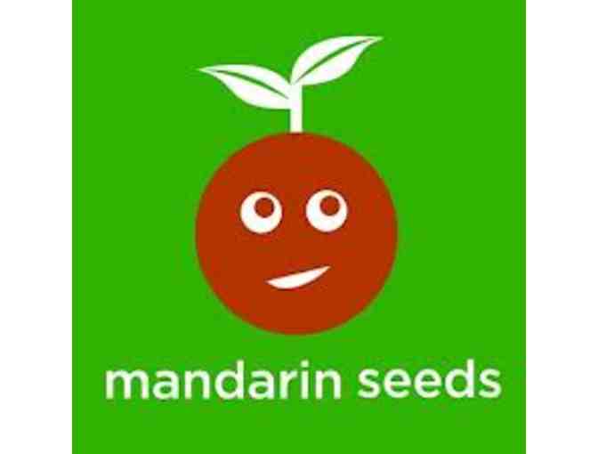 Mandarin Seeds - 10 classes for young children or 8 classes for 5 years +
