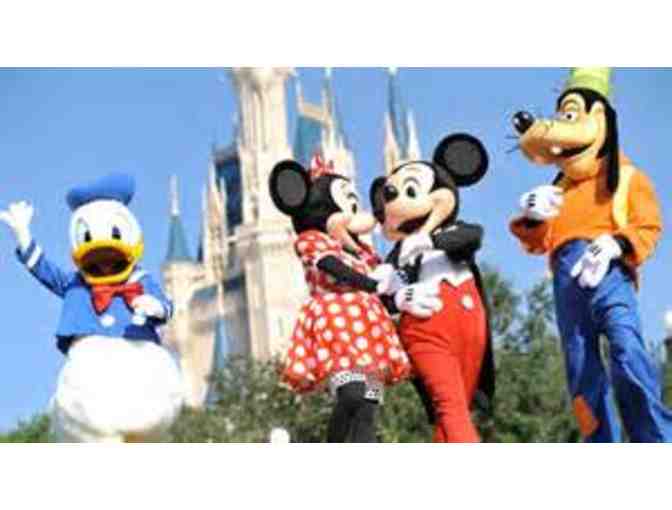 Disney Package: 4 One-Day Park Hopper Passes