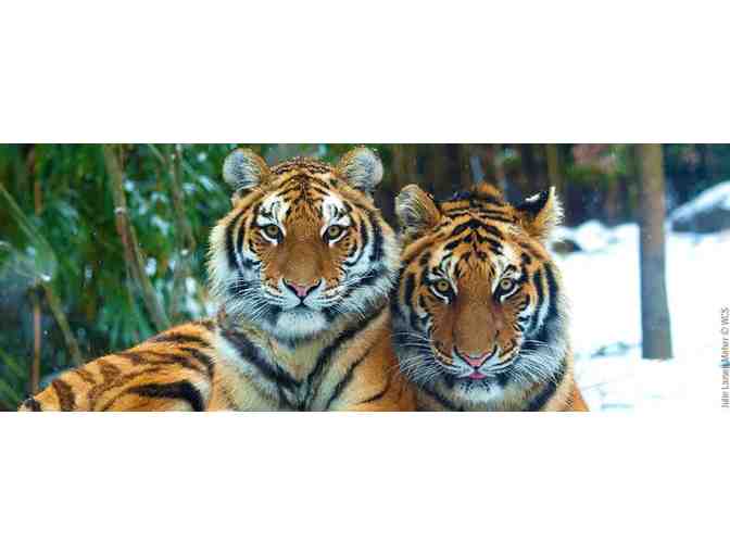 Bronx Zoo (Wildlife Conservation Society) - 4 General Admission Tickets