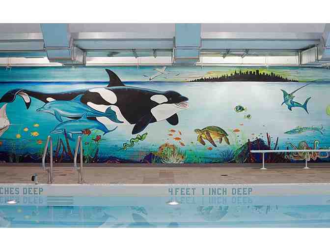 Imagine Swimming: 5 Learn to Swim Group Lessons