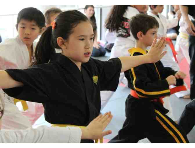 Modern Martial Arts: One Month Basic Martial Art Classes + Uniform