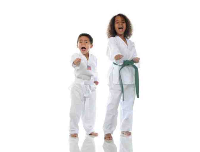 Anderson's Martial Arts Academy: 1 month unlimited pass