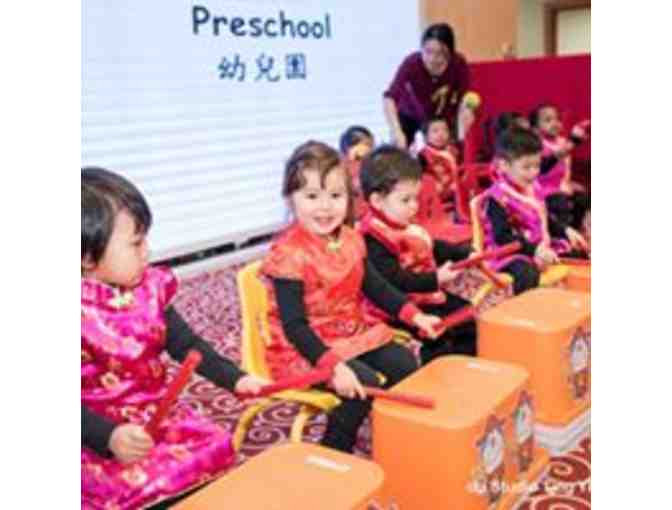 Swan Chinese: 2 weeks Tuition for 2/3/4