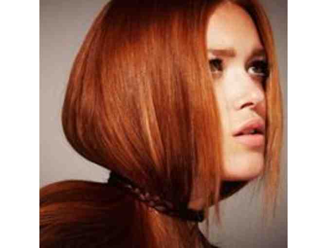 Prema Salon - Wash/Blowout and Conditioning Treatment