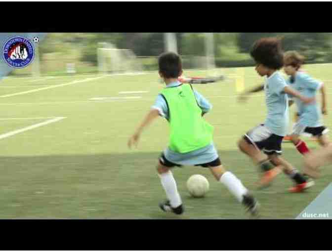 Downtown United Soccer Club (DUSC): One Week of Summer Camp 2018