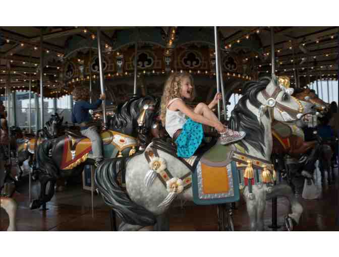 Jane's Carousel - 50 rides