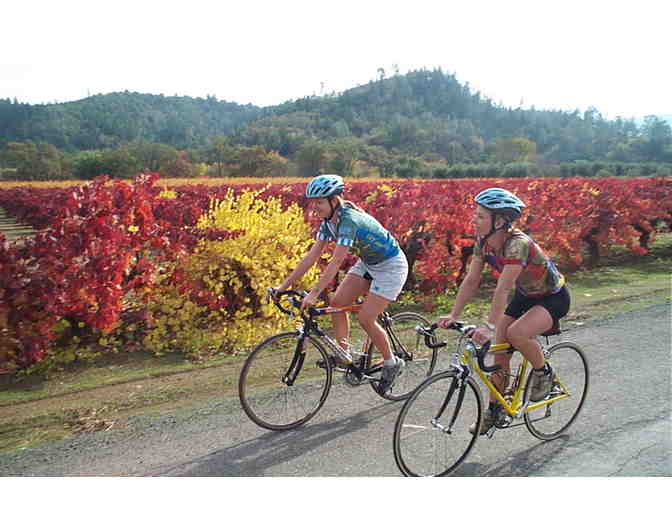 Napa & Sonoma Valley Bike Tours - A Classic Wine Country Bike Tour