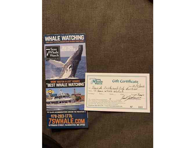 7 Seas Whale Watch Voucher - Photo 1