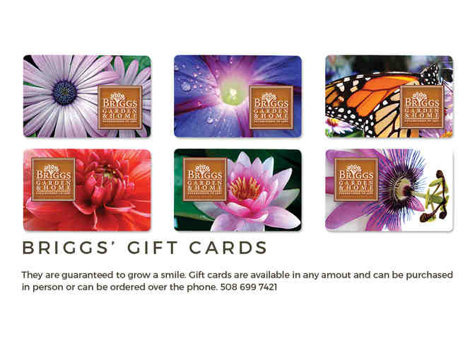 Briggs Garden & Home--$30 Gift Card - Photo 1