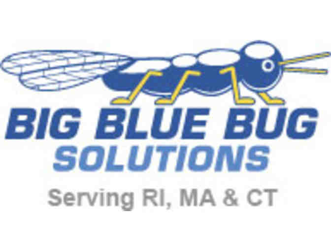 Big Blue Bug Solutions--$100 Gift Certificate - Photo 1