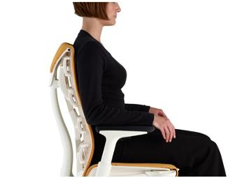 Embody. A Chair Built on Ideas