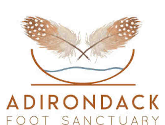 Adirondack Foot Sanctuary Gift Certificate for a 30 Minute Soak and Massage - Photo 1