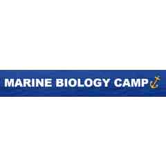 Gerard Loisel's Marine Biology Camp
